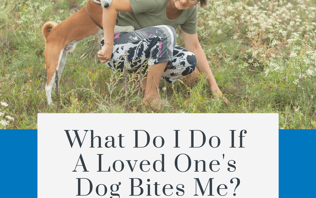 What Do I Do If A Loved One’s Dog Bites Me?