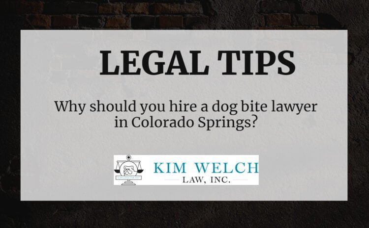  Dog Bite Lawyer Colorado Springs