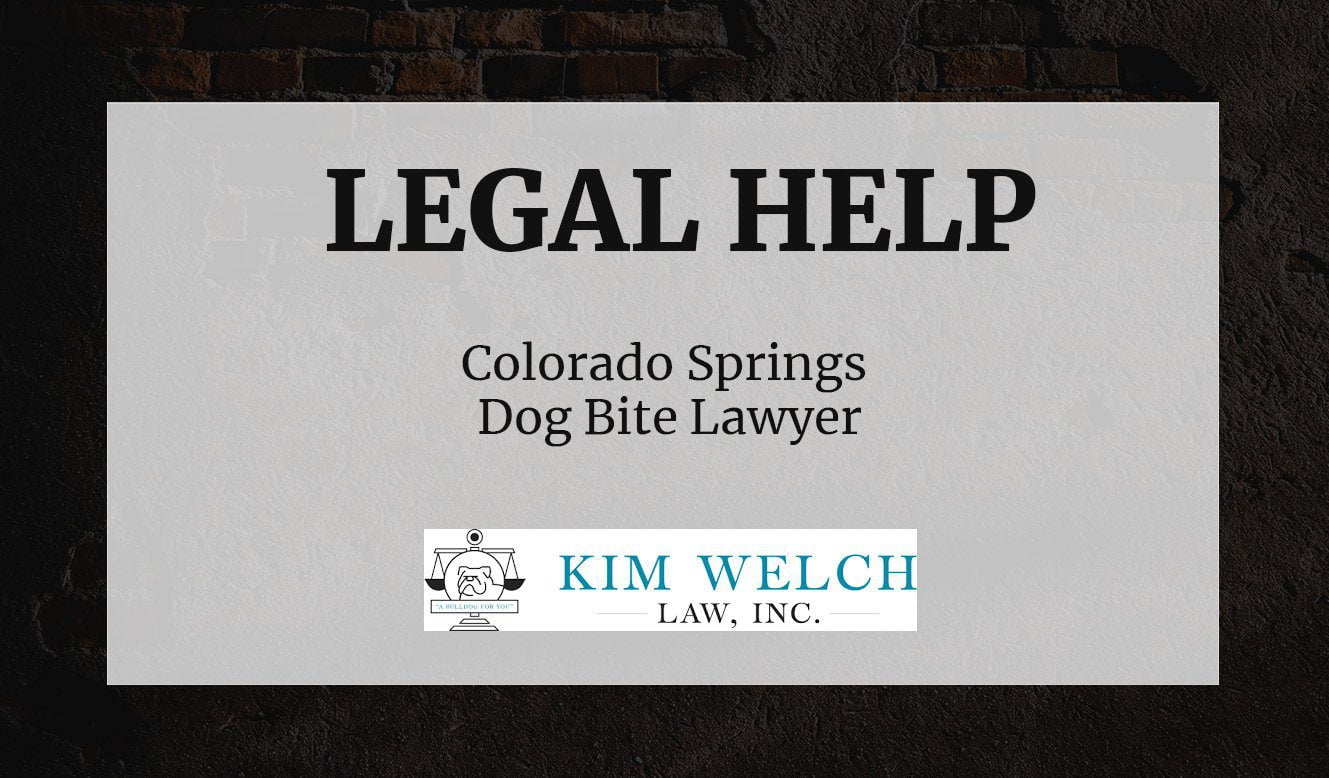 Colorado Springs Dog Bite Lawyer