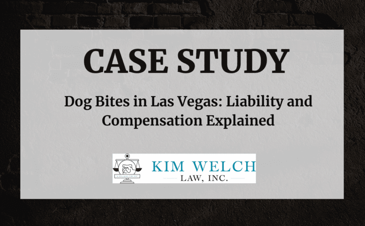  Dog Bites in Las Vegas: Liability and Compensation Explained